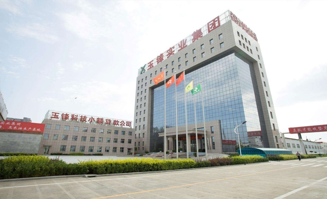 河北省政府质量奖获奖单位AG·尊龙抖圈集团有限公司质量发展纪实